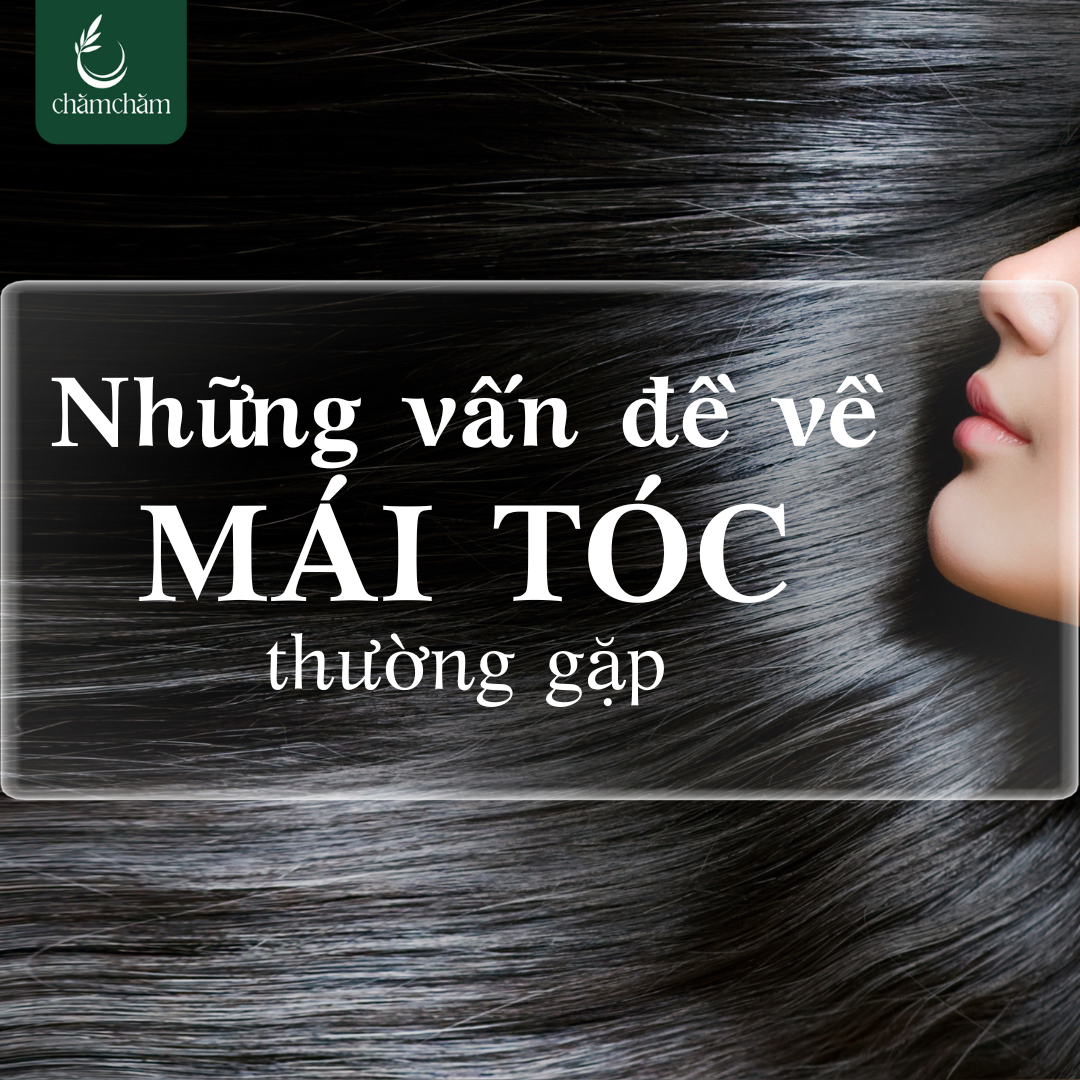 9 VẤN ĐỀ VỀ TÓC THƯỜNG GẶP Ở PHỤ NỮ