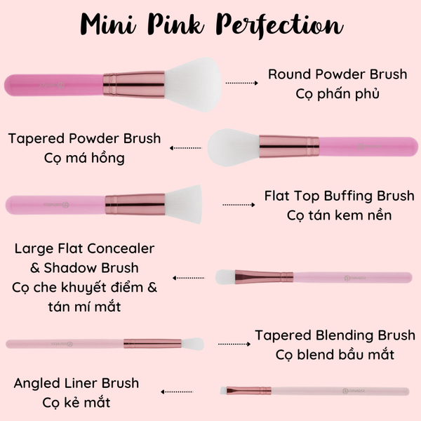 mini_pink_perfection_-_bh-4000-066__6__27feeceae48a4444a9bc9e540a8d9b03_grande.png