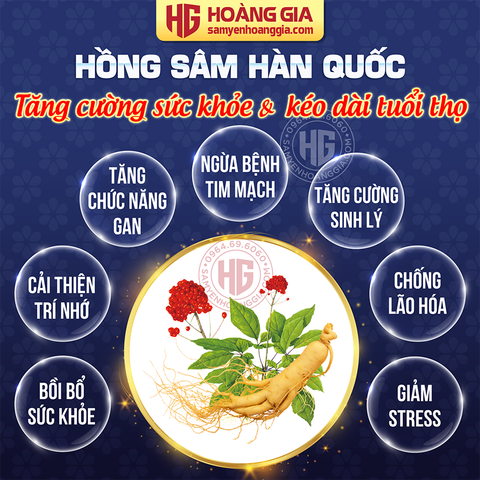 SHOWROOM bán Hồng sâm Hàn Quốc tại Hải Phòng