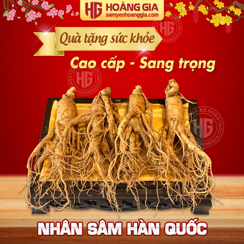 SHOWROOM bán Hồng sâm Hàn Quốc tại Ngô Quyền, Sơn Trà, Đà Nẵng