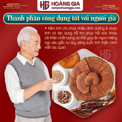 SHOWROOM bán Nấm linh chi Hàn Quốc tại Đường Trường Chinh, Kiến An, Hải Phòng