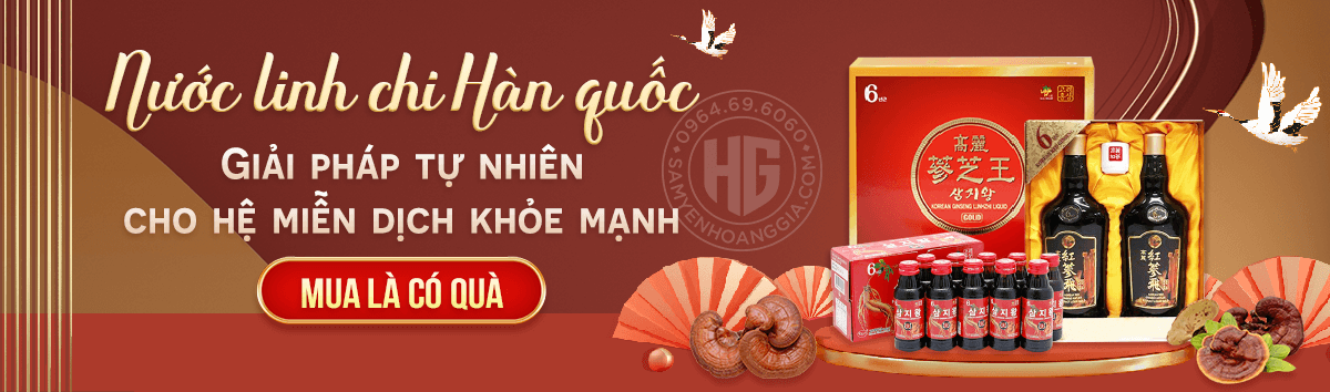 Nước Linh Chi Hàn Quốc
