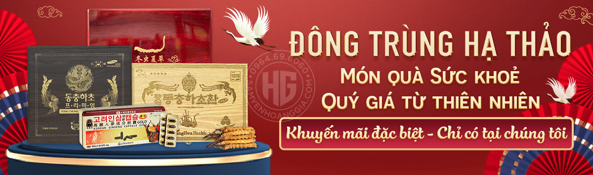 Đông Trùng Hạ Thảo