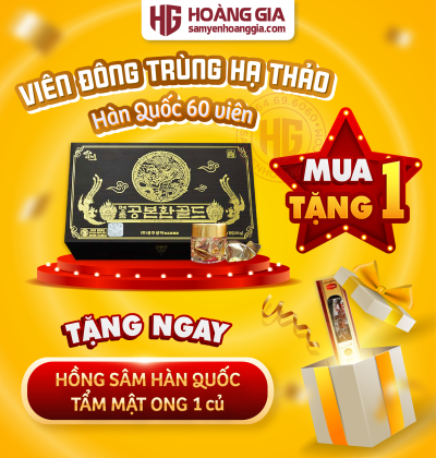 Viên đông trùng hạ thảo Hàn quốc