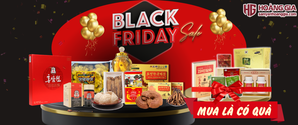 ƯU ĐÃI BLACK FRIDAY 29/11