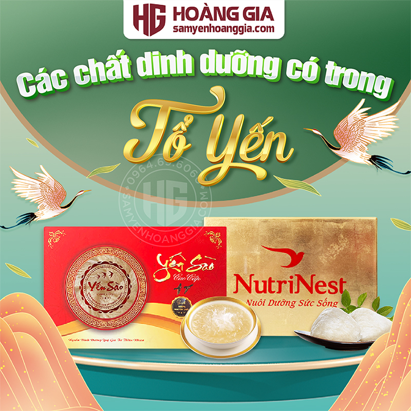 YẾN SÀO LÀM SẠCH