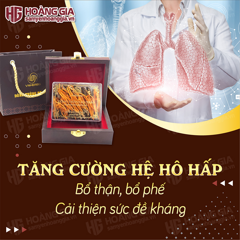 Đông Trùng Hạ Thảo Việt Nam