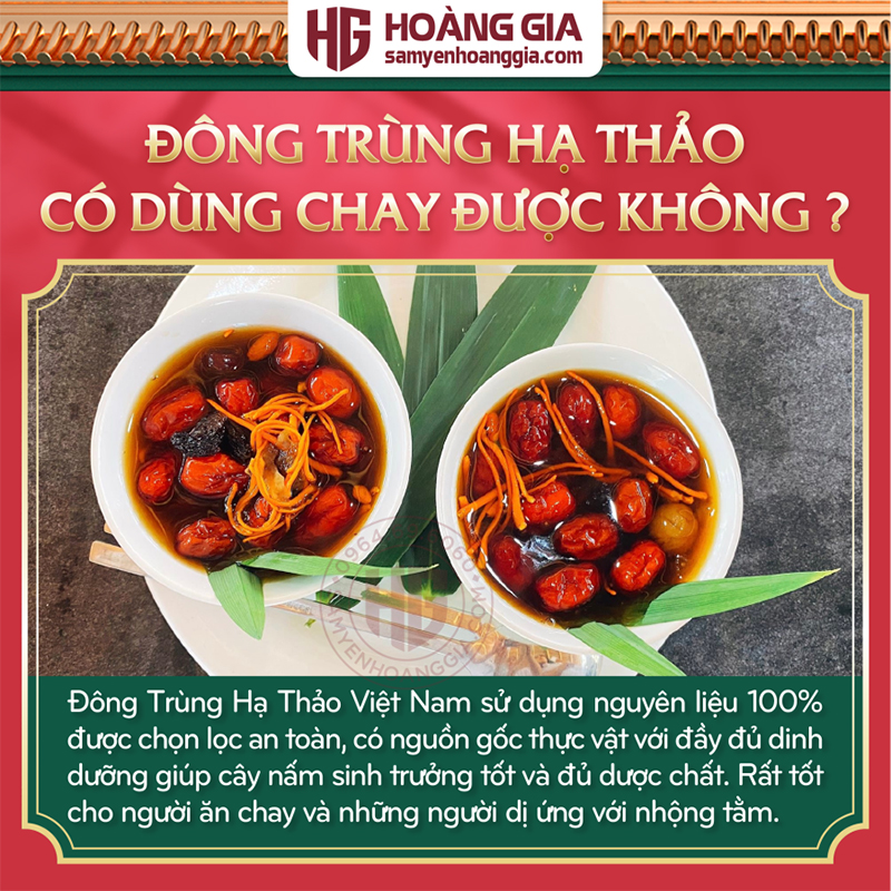 Đông Trùng Hạ Thảo Việt Nam