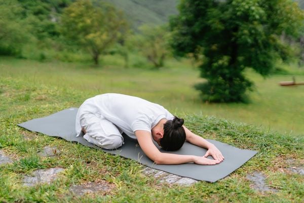 Hướng dẫn học Yoga cho người mới bắt đầu