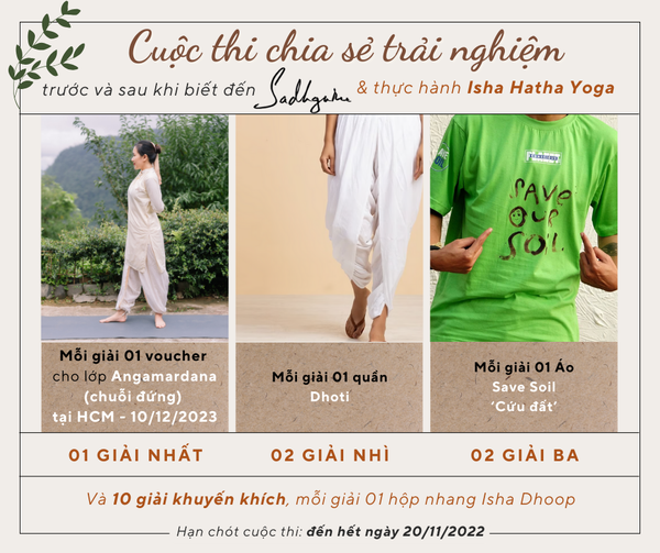 Tổng hợp bài đạt giải 