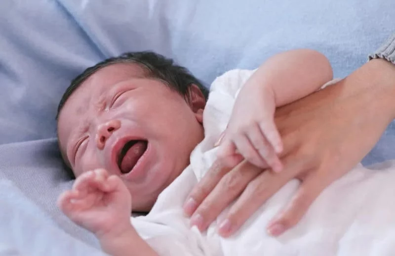 Siro ngủ ngon Fitobimbi Sonno – Sản phẩm đang viral gần đây là gì? Hãy cùng tìm hiểu ngay!