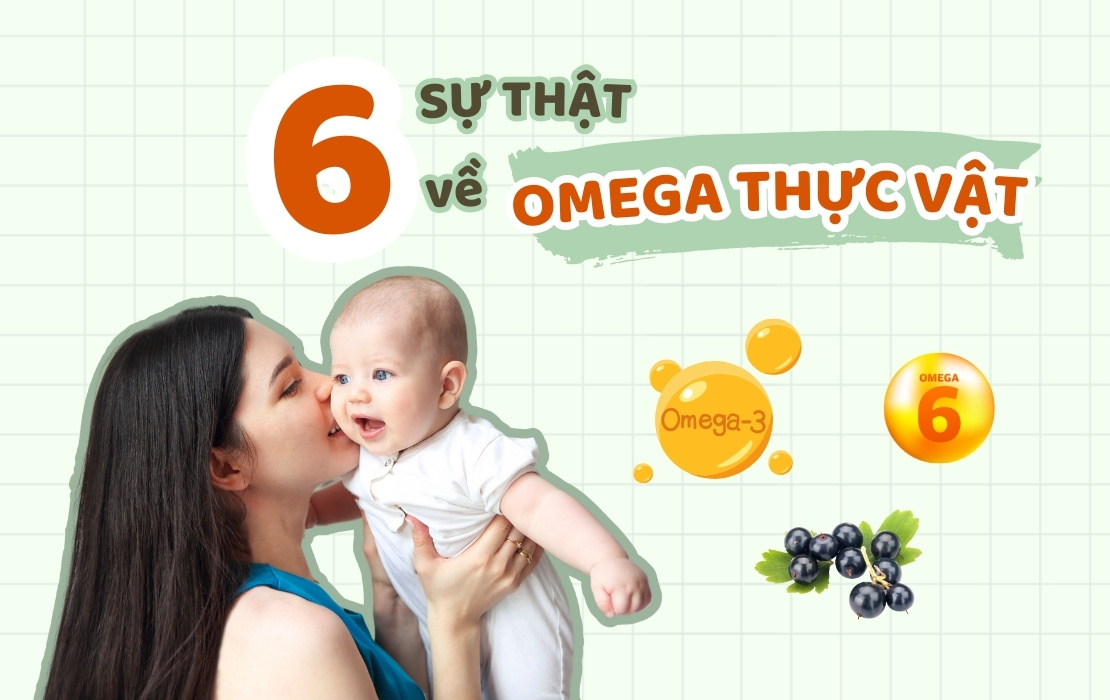 6 sự thật về Omega thực vật mà mẹ nhất định phải biết!