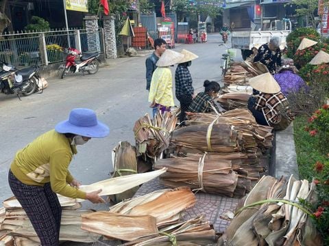 Video Chén đĩa mo cau từ vườn quê ra thế giới