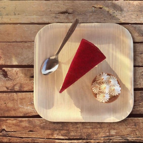 Chén dĩa từ mo cau - Sản phẩm thân thiện với môi trường