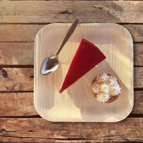 Chén dĩa từ mo cau - Sản phẩm thân thiện với môi trường