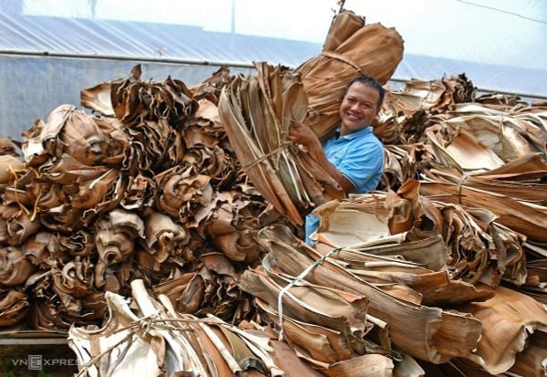 Người đưa mo cau ra thế giới