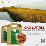 CHỌN GẠO LỨT TÍM THAN TƯ VIỆT - ĂN LÀNH, SỐNG KHỎE