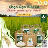 Ăn Cơm Ngon Từ Gạo Ba Trăng - Nghe Chuyện Lúa Mùa