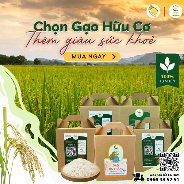Ăn Cơm Ngon Từ Gạo Ba Trăng - Nghe Chuyện Lúa Mùa