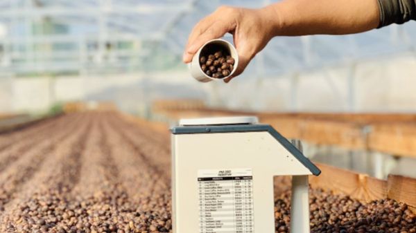 Sự khác biệt của Cà phê đặc sản