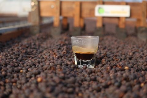 CÀ PHÊ - CẠNH TRANH GIÁ HAY XÂY DỰNG GIÁ TRỊ?