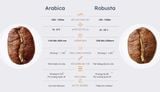 ROBUSTA VÀ ARABICA KHÁC NHAU NHƯ THẾ NÀO?