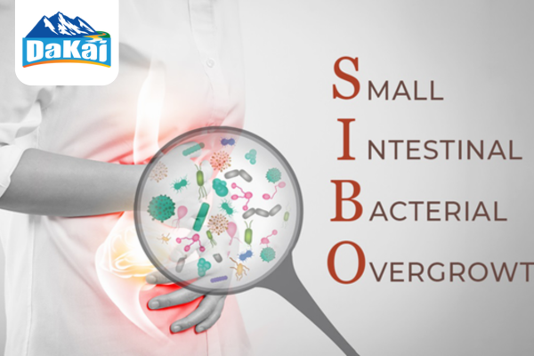 Hội chứng loạn khuẩn ở ruột non (SIBO) là gì?