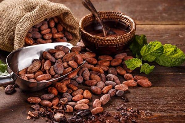 Công dụng của bột cacao và cách sử dụng hiệu quả nhất