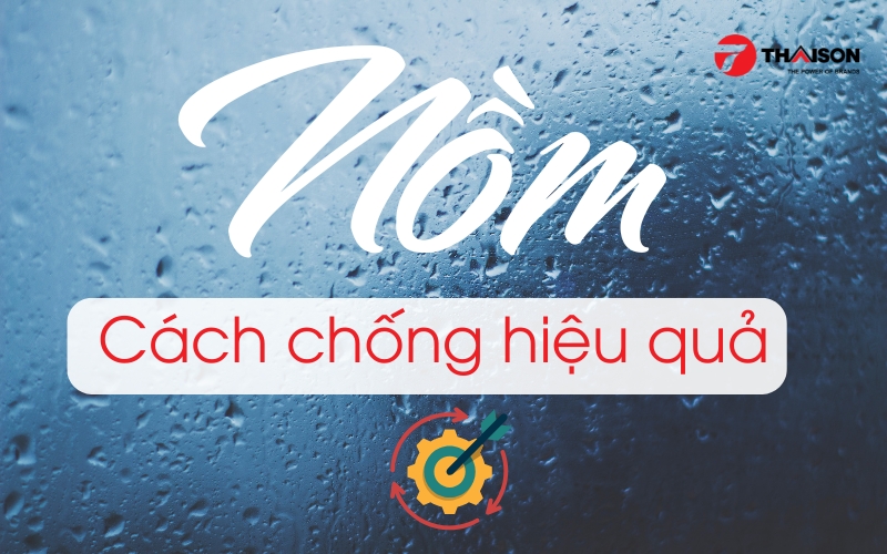 Cách chống nồm ẩm trong nền nhà hiệu quả