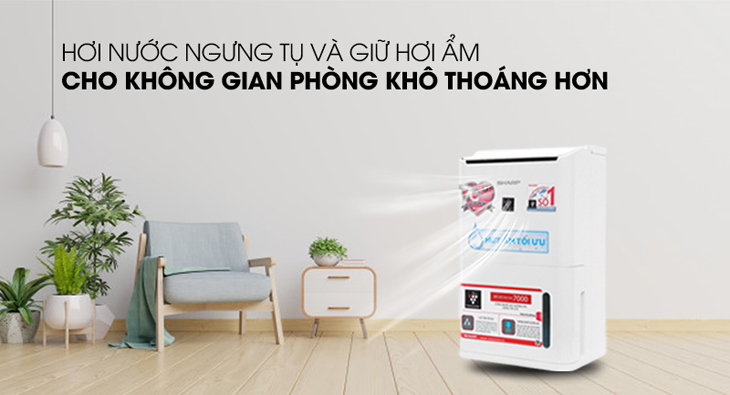 Có nên mua máy hút ẩm không?