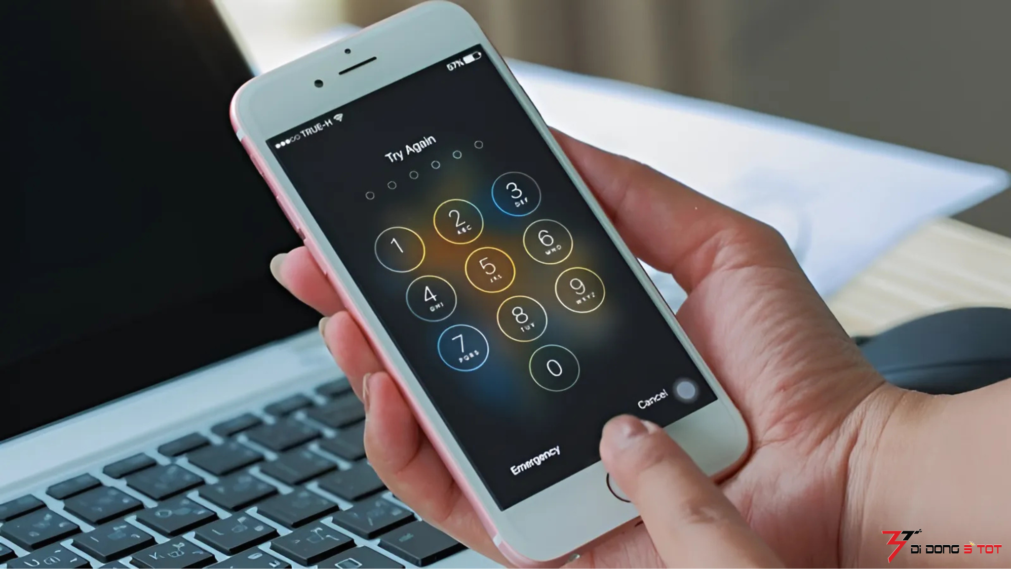 Quên mật khẩu đăng nhập ứng dụng trên iPhone? Đây là cách xem lại cực nhanh và dễ