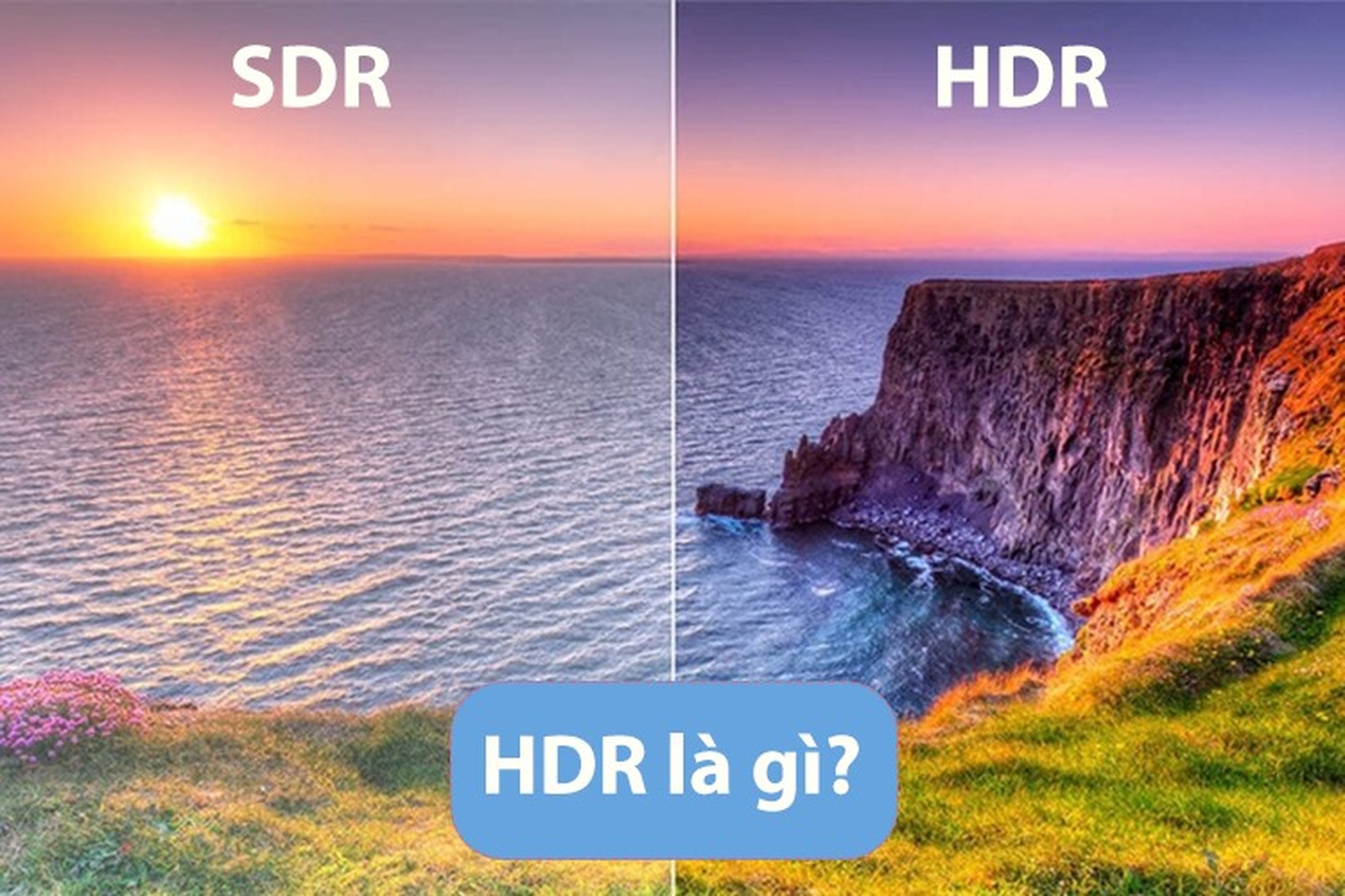 Chế Độ HDR Trên Điện Thoại Là Gì? Cách Sử Dụng Hiệu Quả.