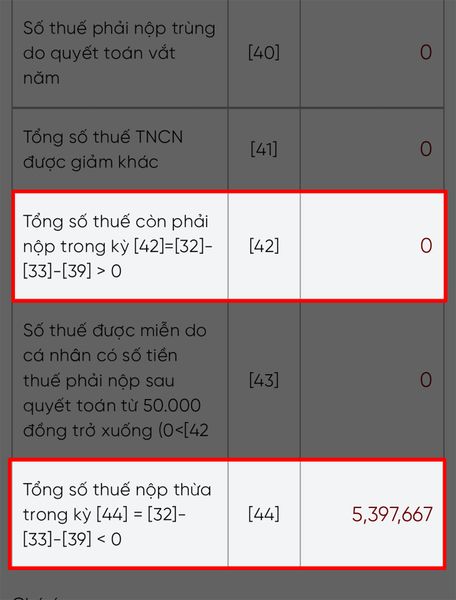 Hướng dẫn kiểm tra xem bạn có nộp dư – nợ thuế thu nhập cá nhân không, cực nhanh trên điện thoại