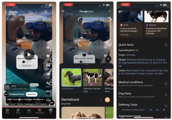 Google Lens chính thức tích hợp vào YouTube Shorts - Di Động 3 Tốt