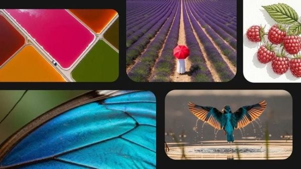 Cách tạo video bằng AI Veo 3 mới nhất năm 2025 – tạo video nhanh, chất lượng cao chỉ với mô tả văn bản