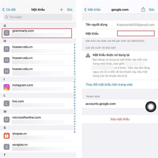 Quên mật khẩu đăng nhập ứng dụng trên iPhone Đây là cách xem lại cực nhanh và dễ
