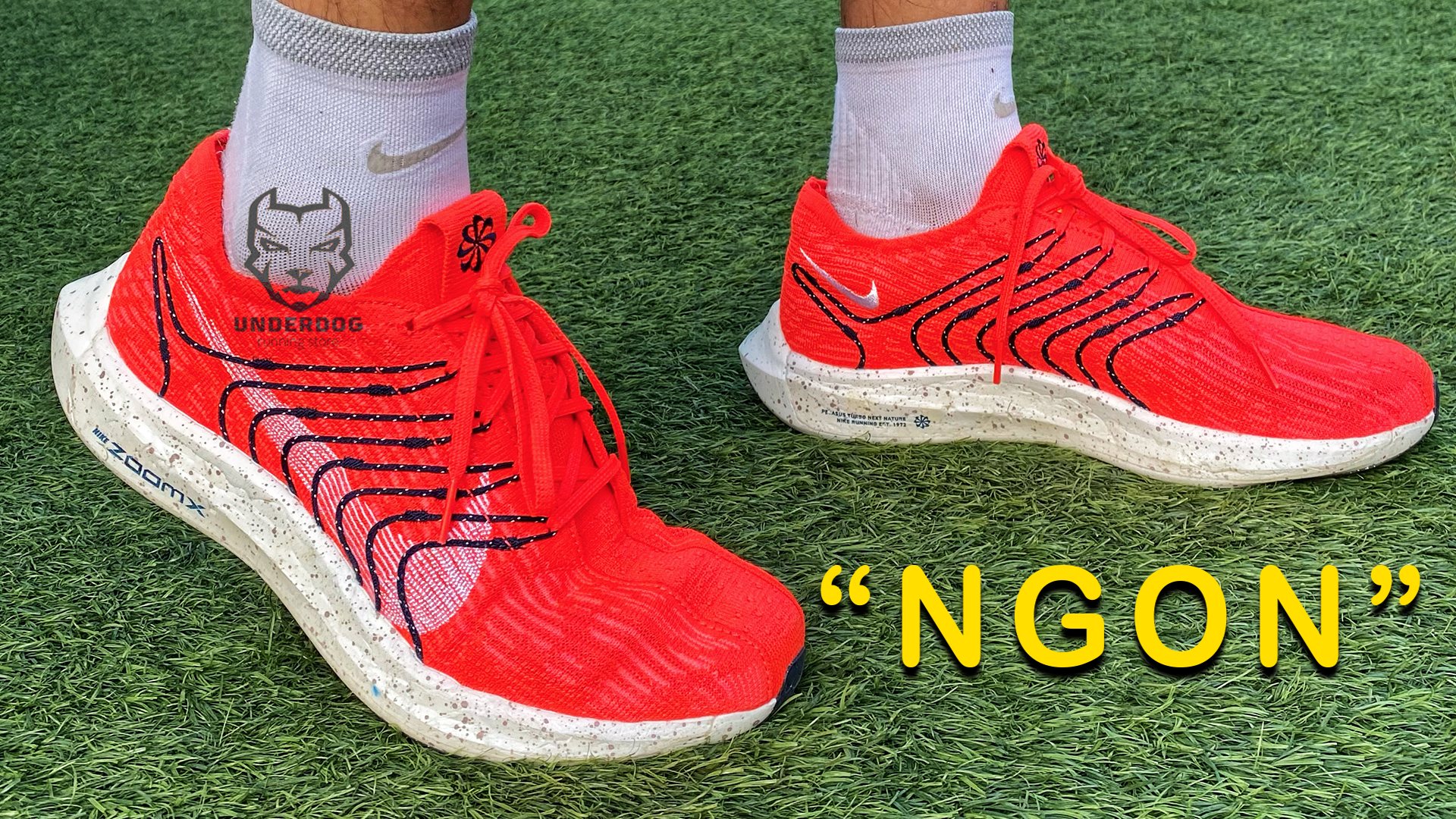 pegasus turbo pantip