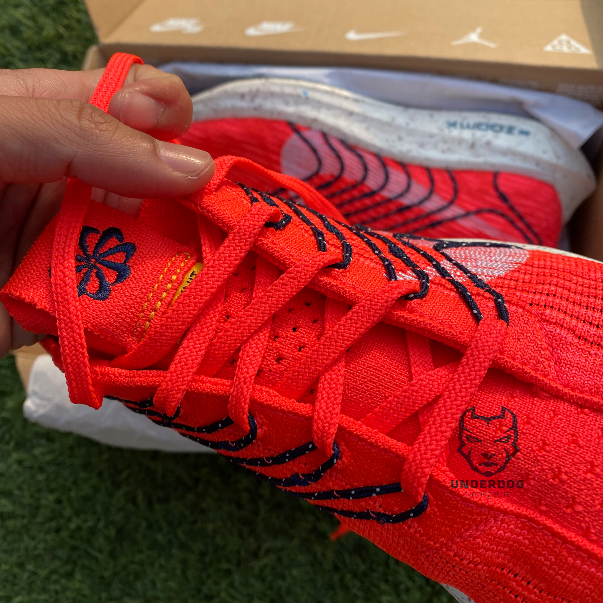 pegasus turbo pantip