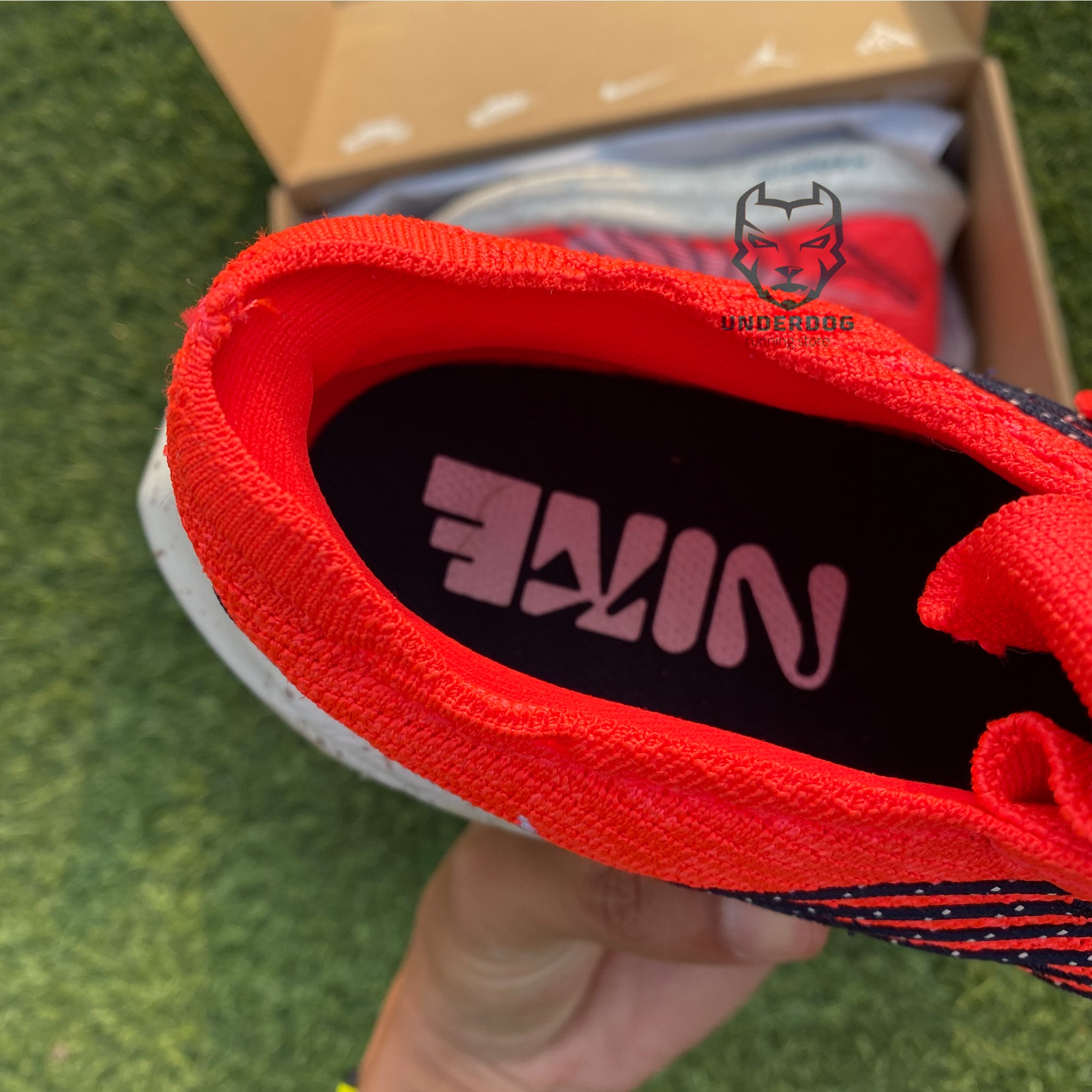 pegasus turbo pantip