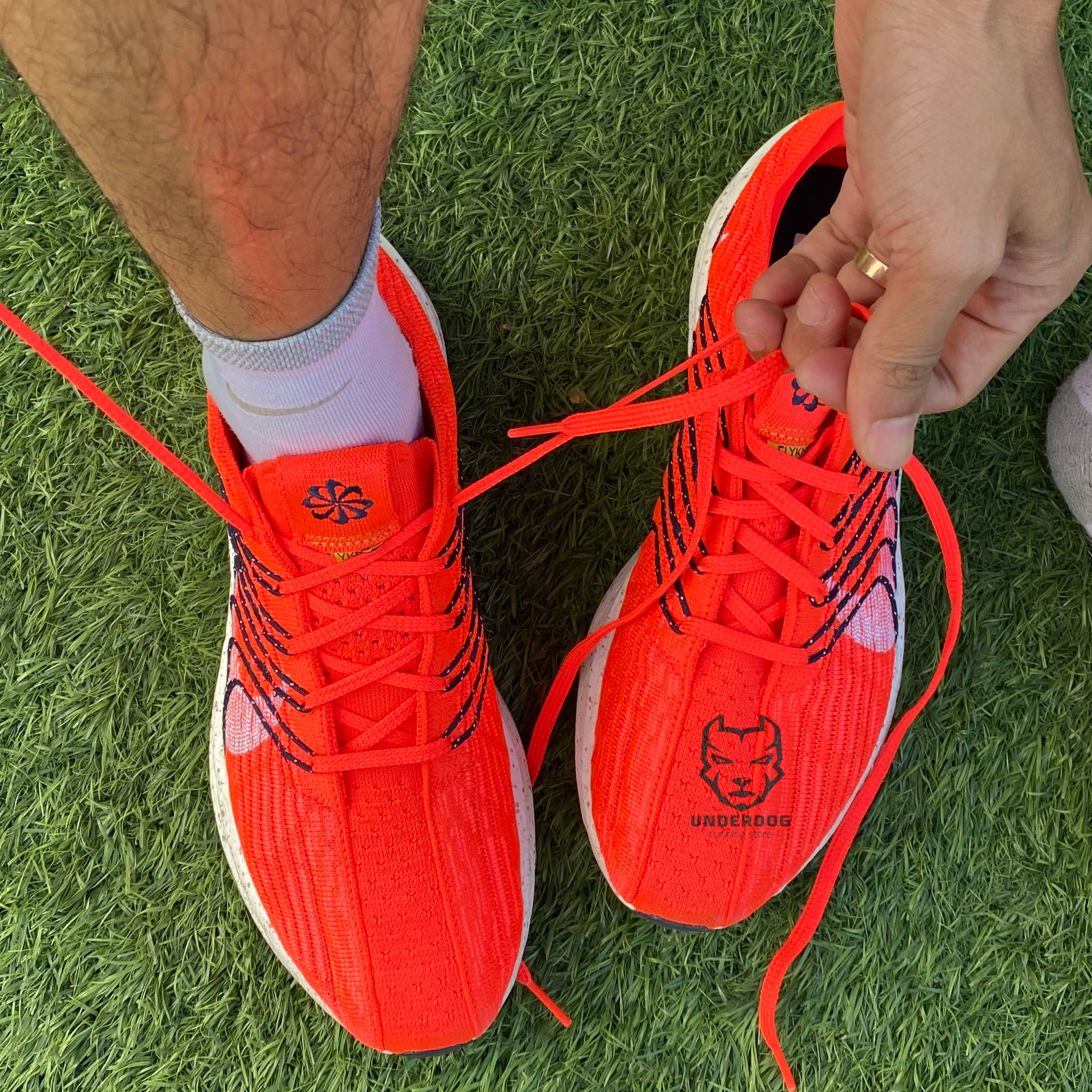 pegasus turbo pantip