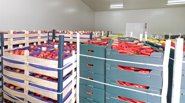 CAS TECHNOLOGY: PRESERVATION AFTER HARVEST