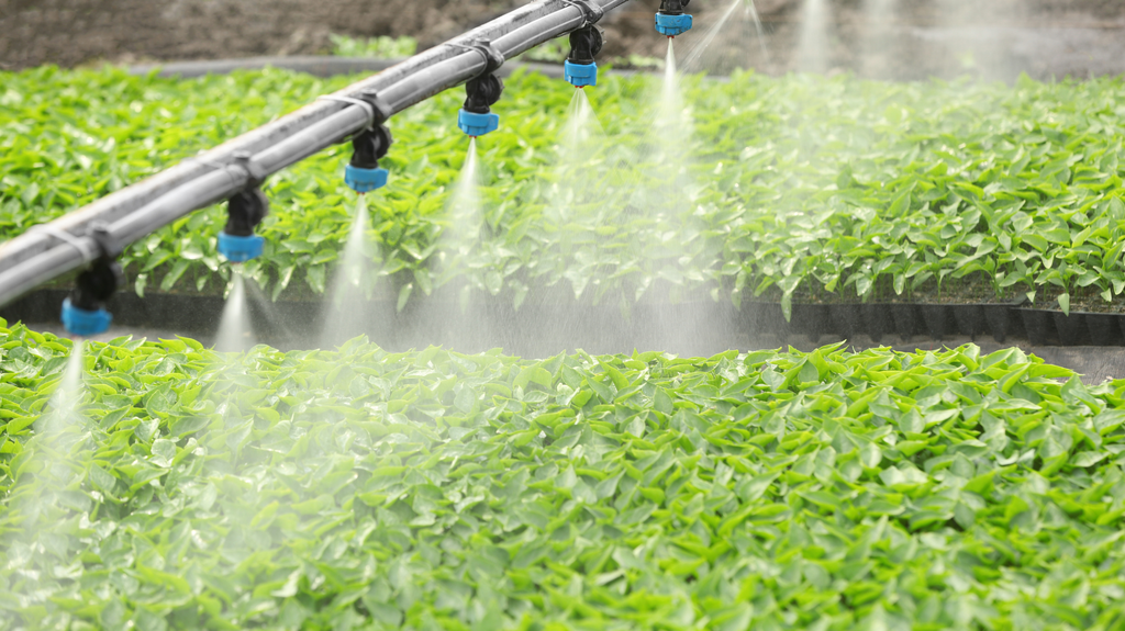 DRIP IRRIGATION SYSTEM
