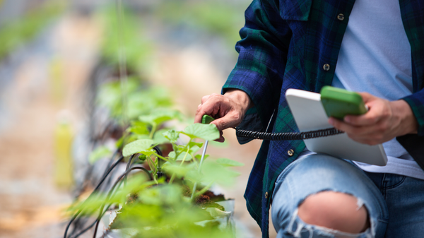 COMPREHENSIVE SOLUTION FOR SMART AGRICULTURE
