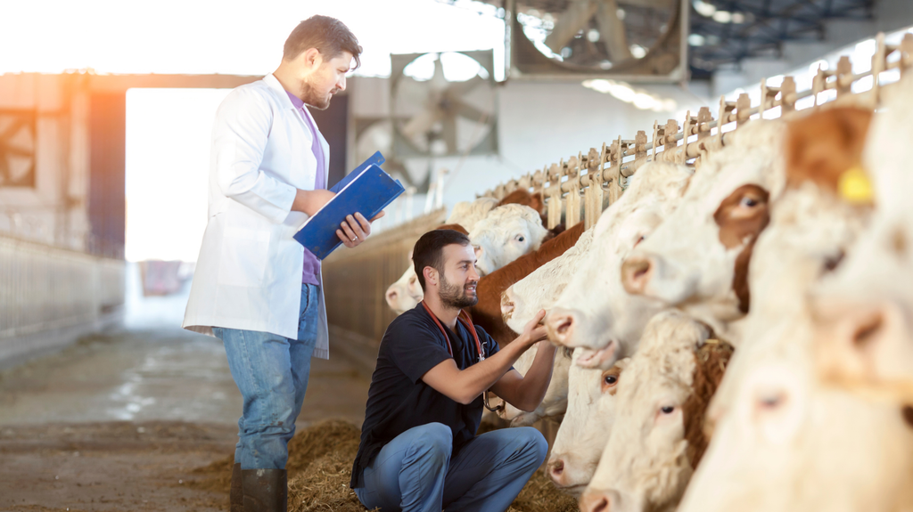 HỆ THỐNG QUẢN LÝ CHĂN NUÔI THÔNG MINH