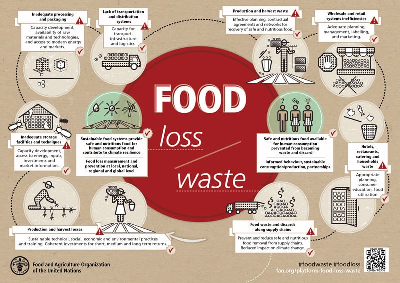 7 bước đơn giản tất cả chúng ta có thể thực hiện để giảm lãng phí thực phẩm
