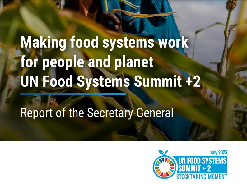 Báo cáo của Tổng thư ký về Hệ thống Thực phẩm của Liên Hợp Quốc