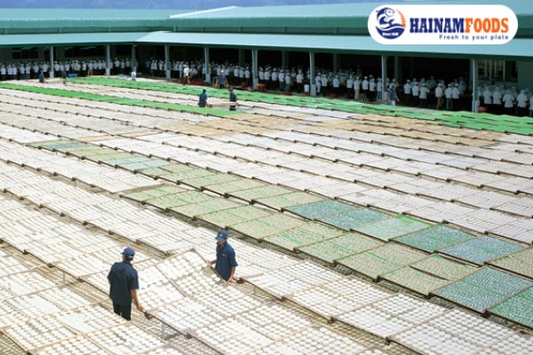 Công Ty TNHH Hải Nam - Nhà máy Phan Thiết