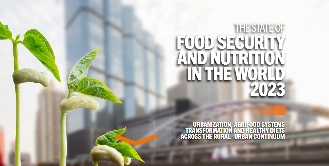 Hiện trạng an ninh lương thực và dinh dưỡng thế giới năm 2023