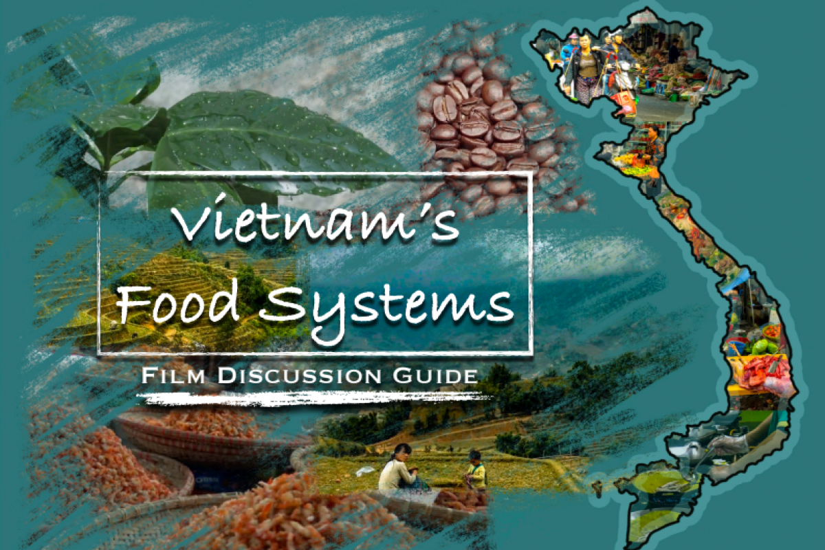 Hướng dẫn khám phá hệ thống ẩm thực của Việt Nam
