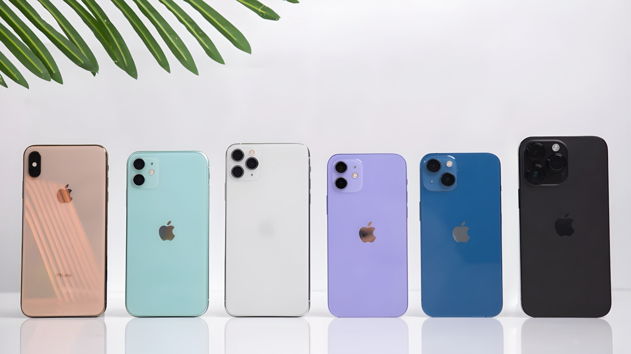 Cách kiểm tra iPhone cũ trước khi mua để tránh mất tiền oan